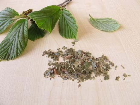 Witch hazel sprigs and dried leaves