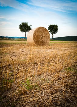 Hay Bale and Trees taken in upper austria