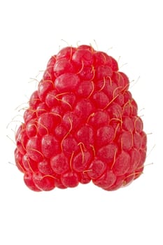 ripe red raspberry isolated on white background