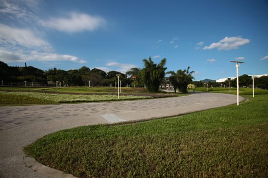 Landscaped flower garden