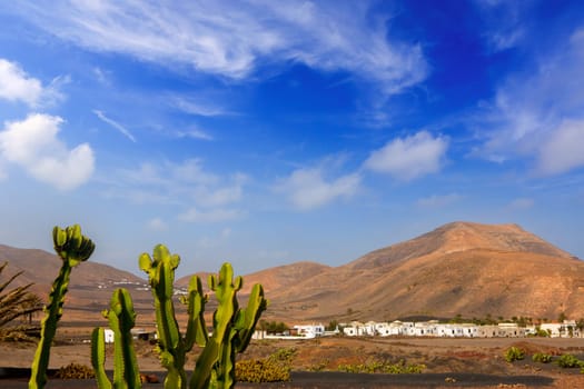 Lanzarote Yaiza white village with cactus and mountains in canary Islands