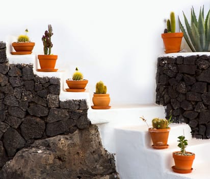 Cactus clay pots in Lanzarote over white stairs at Canary Islands