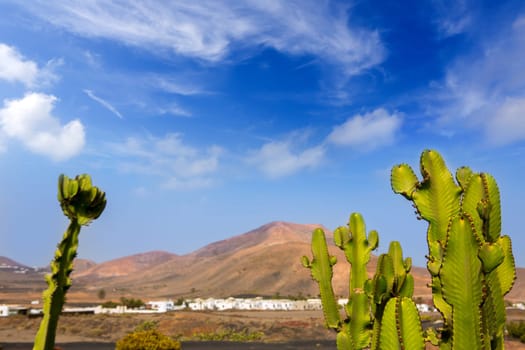 Lanzarote Yaiza white village with cactus and mountains in Canary Islands