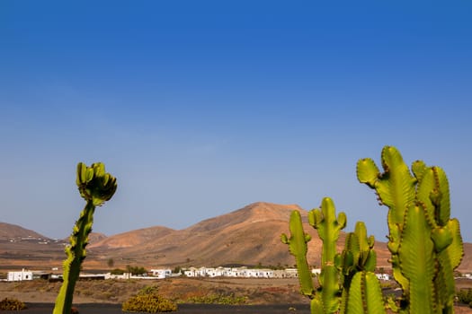 Lanzarote Yaiza white village with cactus and mountains in Canary Islands