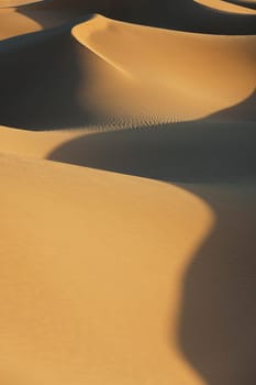 Sahara desert sand dunes with deep shadows at Erg Lihoudi, M&#039 hamid, Morocco.