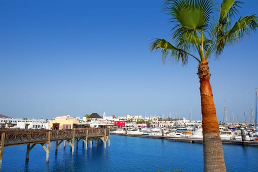 Lanzarote Marina Rubicon port at Playa Blanca in Canary Islands