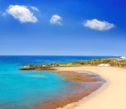 Arrecife Lanzarote Playa del Reducto beach aerial   view in Canary Islands