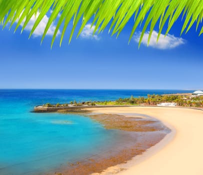 Arrecife Lanzarote Playa del Reducto beach aerial  view in Canary Islands