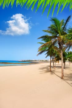 Arrecife Lanzarote Playa Reducto beach tropical palm trees at Canary Islands