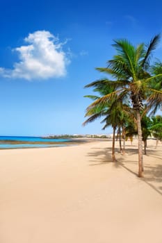 Arrecife Lanzarote Playa Reducto beach tropical palm trees at Canary Islands