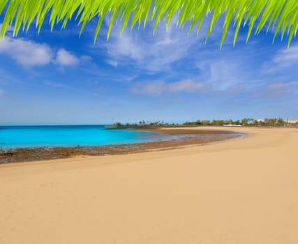 Arrecife Lanzarote Playa del Reducto beach aerial  view in Canary Islands