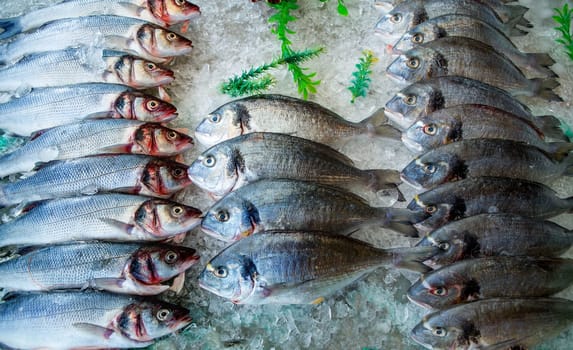 Seabass and sea bream over ice raw fresh seafood fishes