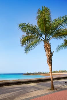 Arrecife Lanzarote Playa del Reducto beach in Canary Islands
