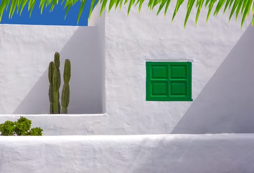 Lanzarote san Bartolome white typical house cactus and green window