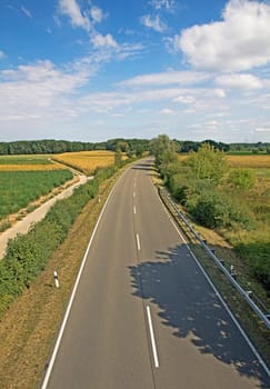 empty motorway sourrounded by bushes