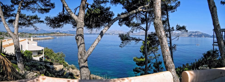 view through the pines to the ocean