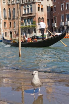 VENICE, ITALY - SEPTEMBER 30: Photo of Venice, where the gondolier carrying tourists on the Grand Canal on September 30, 2011 in Venice, Italy