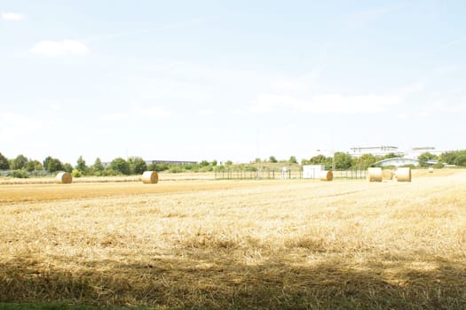 High key pick-up of straw bales in a mowed field.