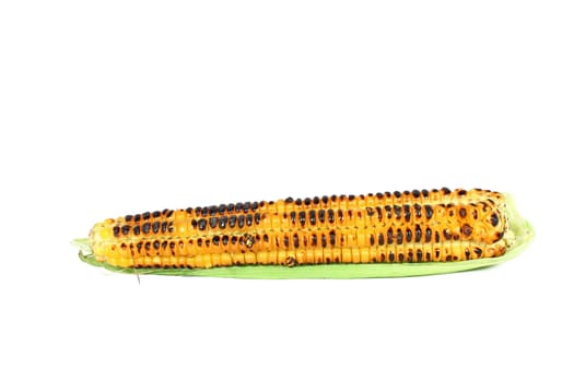 Grilled sweet corn cob isolated on white