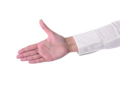 Womans Hand Ready For Handshaking