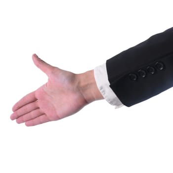 Womans Hand Ready For Handshaking