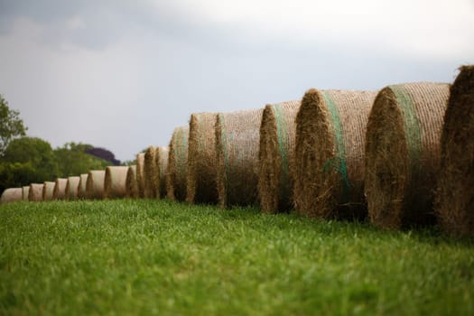 straw bales in front of a sky with rain clouds
