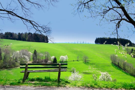 Bench with a view of the spring landscape in the Black Forest,Baden-Württemberg,Germany