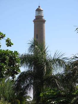 Lighthouse with Vegetation