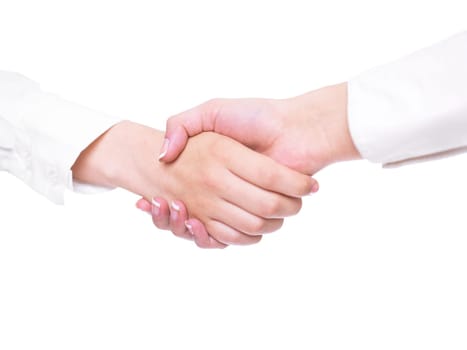 Two hands in Handshake - Business Handshaking