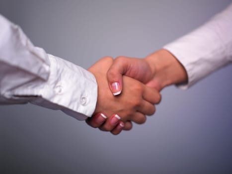 Handshake Handshaking isolate on white