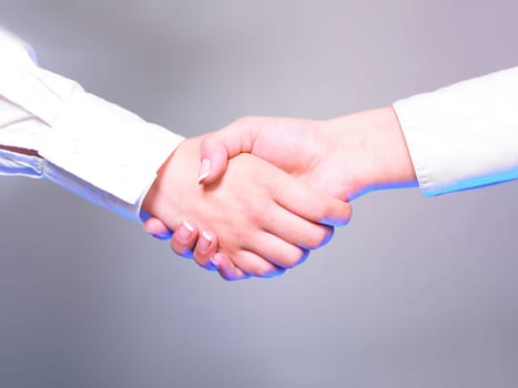 Handshake Handshaking isolate on white