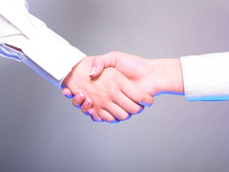 Handshake Handshaking isolate on white