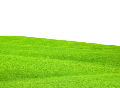green grass hill with isolated white background