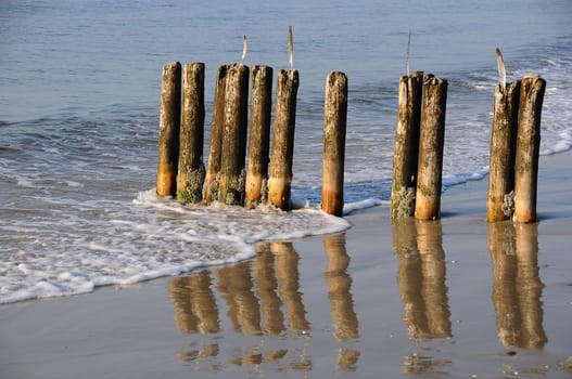 Bollard