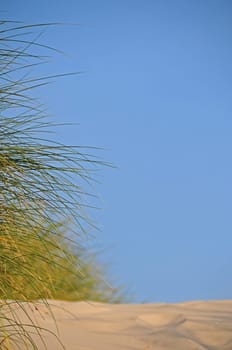Dune
