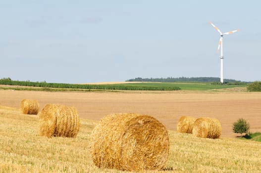 Wind harvest
