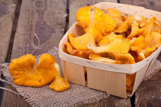 Chanterelles in the basket
