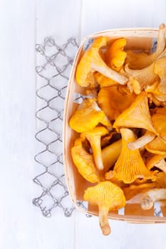 Mushroom basket