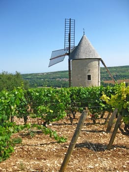 Windmill in the vineyards of Burgundy,Franconia
