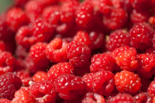 Red Fruit Raspberry background, macro shot
