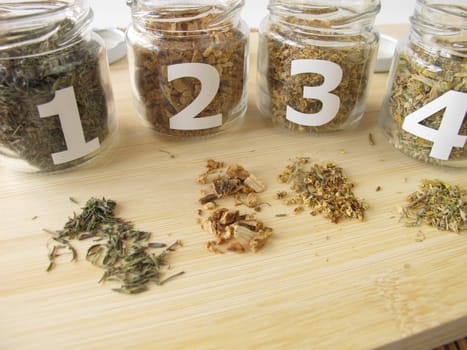 Medicinal herb samples with thyme,gentian root,elderflower,primrose blossom