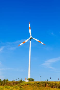 Windmill gathers energy from the summer breeze.