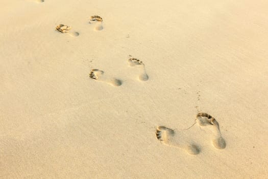 human footprints in the fine sand at the beach