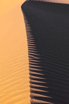 beautiful sand dune in sunrise in the desert