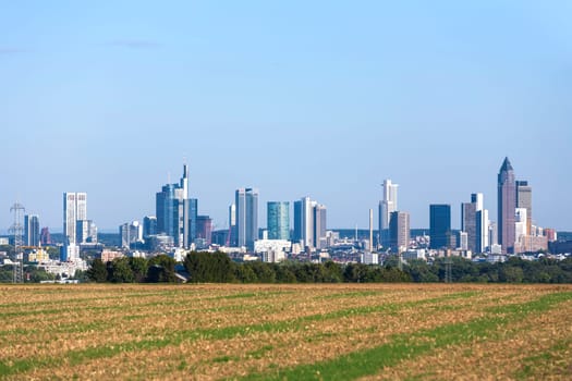 skyline of Frankfurt with fields in foreground