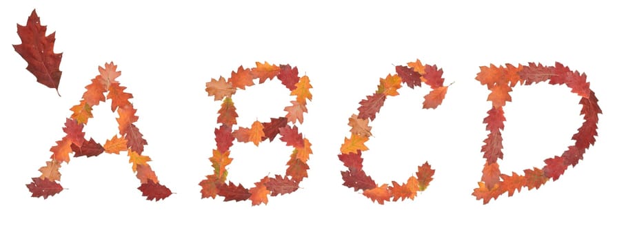alphabet made of autumn leaves for education