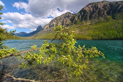 Mountains rise steeply from the shoreline of Kintla Lake in Glacier National Park.