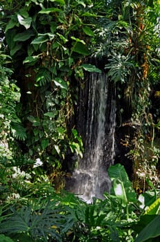 Tropical Waterfall
