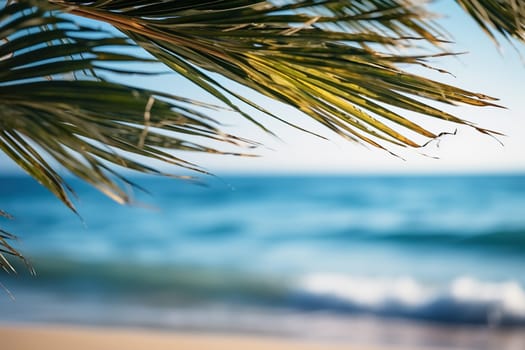 Palm leaves close up against a blurred seascape. Vacation, travel, beach holiday concept.