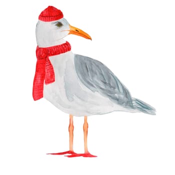 hand-painted watercolor seagull in a red hat and scarf. no background for your ideas. High quality illustration